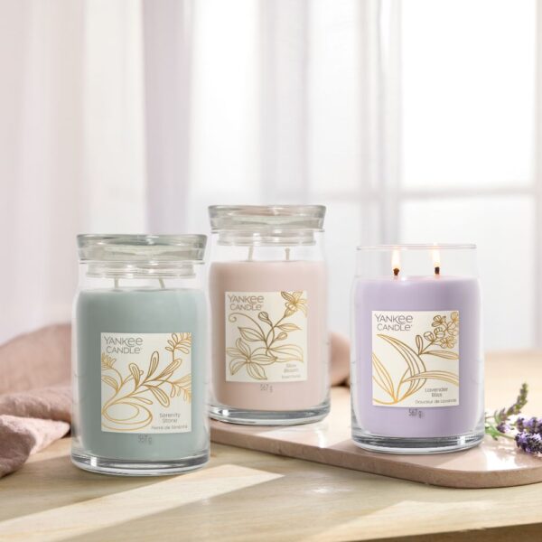 YC | Signature Large Jar | Lavender Bliss
